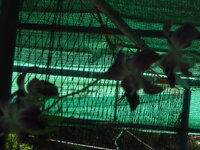 DSCN9599.JPG
