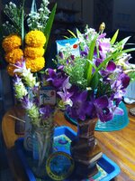 IMG_20240917_212046_062.jpg