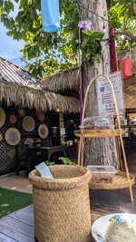 PXL_20240923_045751636.jpg PXL_20240923_045751636.jpg