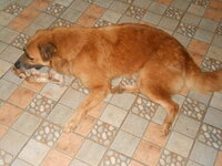 DSCN0251.JPG