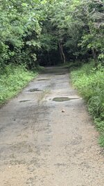 PXL_20240924_025446729.jpg