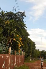 DSCN0073~3.JPG