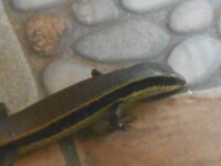 DSCN0307.JPG