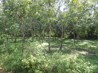 DSCN0472.JPG