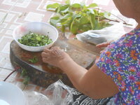 DSCN0566.JPG