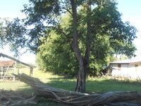 DSCN0595.JPG
