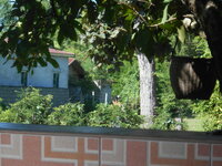 DSCN0616.JPG
