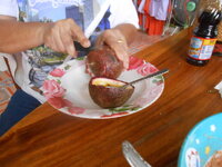 DSCN0530.JPG