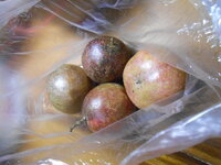 DSCN0413.JPG