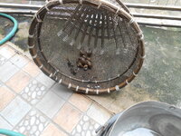 DSCN0016.JPG