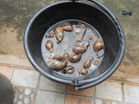 DSCN0015.JPG