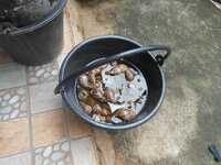 DSCN0014.JPG