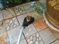 DSCN0227.JPG