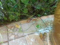 DSCN0224.JPG