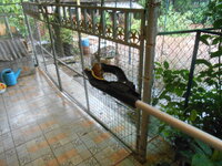 DSCN0237.JPG