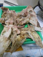 DSCN0172~2.JPG