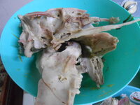 DSCN0179.JPG