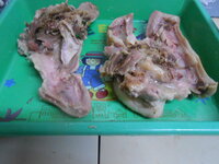 DSCN0177.JPG