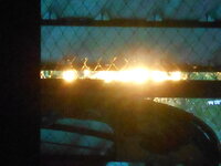 DSCN0504.JPG