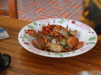 DSCN9820.JPG