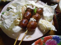 DSCN0107.JPG