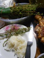 DSCN0108~2.JPG