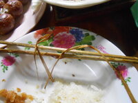 DSCN0115.JPG
