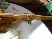DSCN0113.JPG
