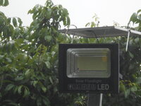 DSCN9954.JPG