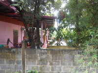 DSCN9967.JPG