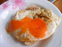 DSCN0277.JPG