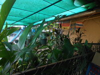 DSCN9874.JPG DSCN9874.JPG