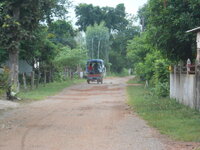 DSCN9597.JPG