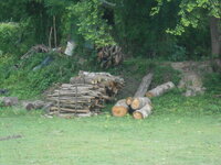 DSCN9520.JPG