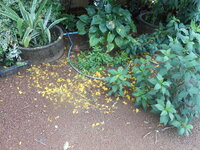 DSCN0294.JPG