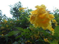 DSCN0296.JPG