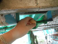 DSCN0495.JPG
