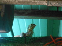 DSCN9991.JPG