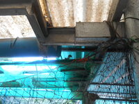 DSCN9990.JPG