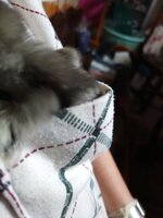 IMG_20240928_201107_389.jpg