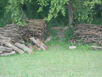 DSCN0266.JPG