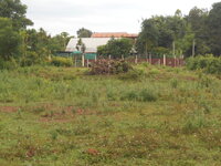 DSCN0268.JPG