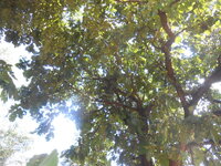 DSCN0649.JPG