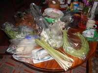DSCN0058.JPG