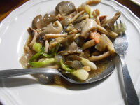 DSCN0072.JPG