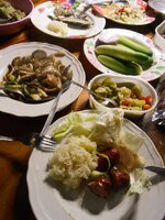 DSCN0071~2.JPG