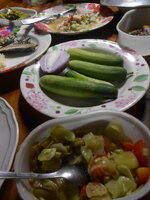 DSCN0075.JPG