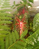 DSCN0363~2.JPG