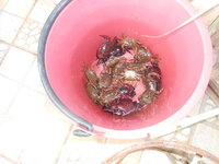 DSCN0209.JPG