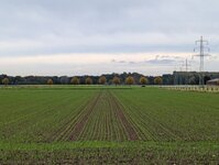 PXL_20241012_142634194.jpg